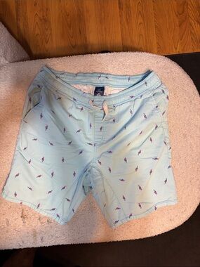 Light Blue Printed Shorts with Toucan Motif